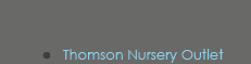 Thomson Outlet